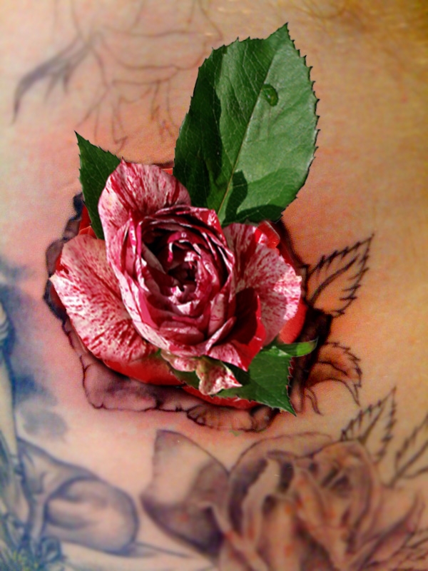 Creation of Rose tatoo: Step 3